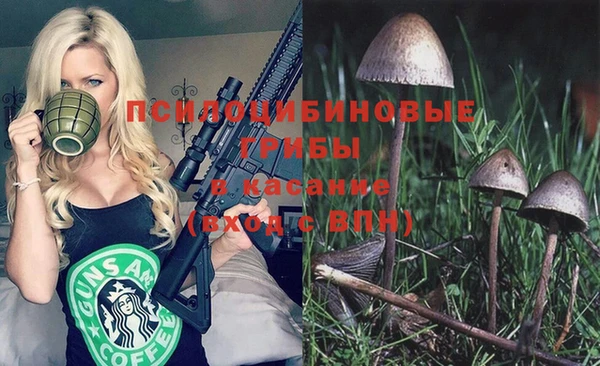 шишки Абдулино