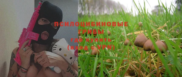 шишки Абдулино
