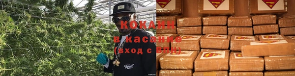 шишки Абдулино