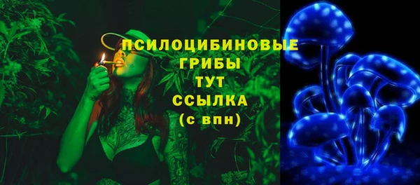прущие крисы Алзамай