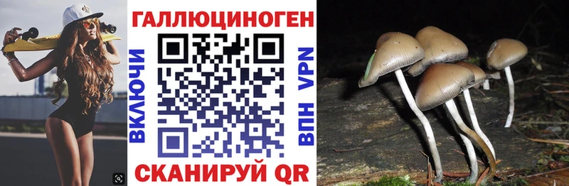 Галлюциногенные грибы Cubensis  kraken ссылки  Нижняя Тура  даркнет сайт 